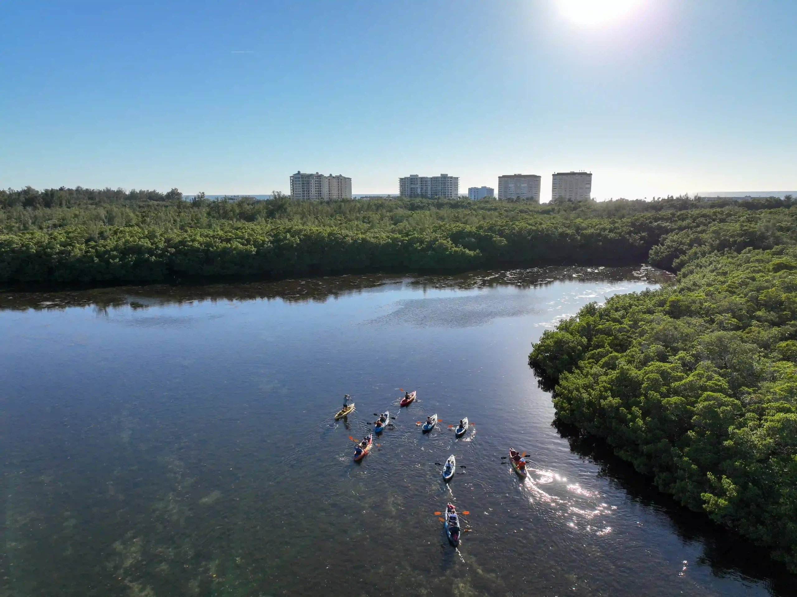 Group kayak tour paddling through a Sarasota mangrove channel