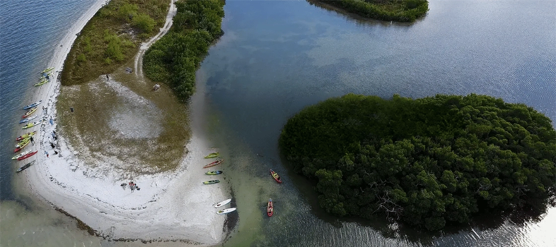 Aerial view of kayaks on a sandy mangrove island in Sarasota