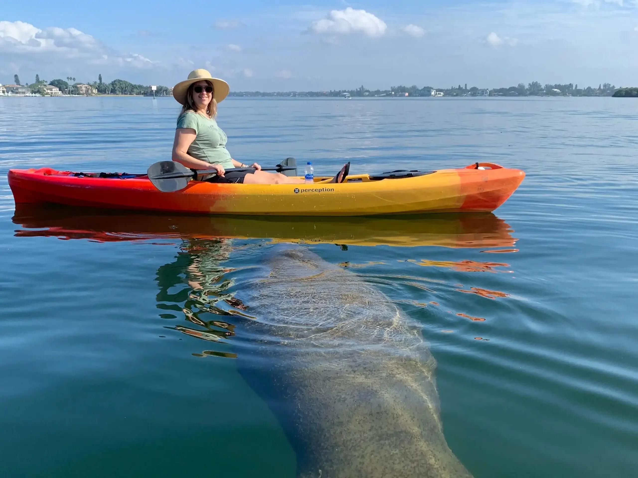Guided kayak tour through Lido Key mangrove tunnels