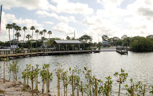Sarasota Kayak Rental