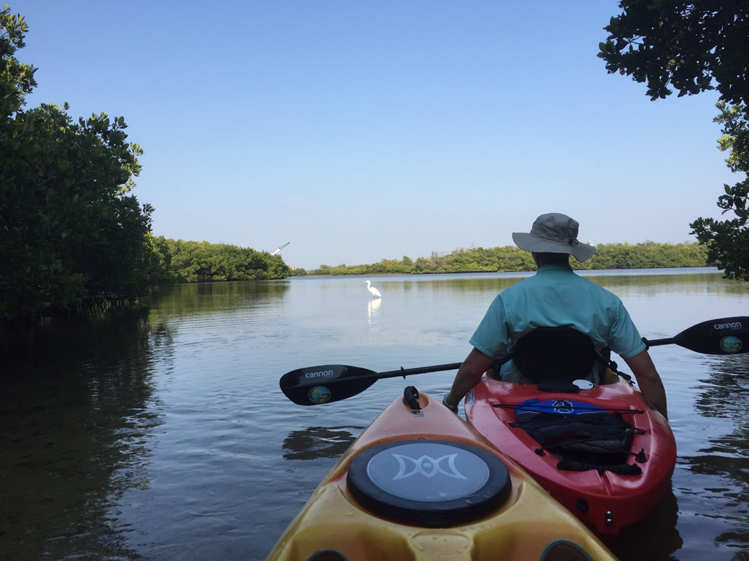 Sarasota Kayak Rental