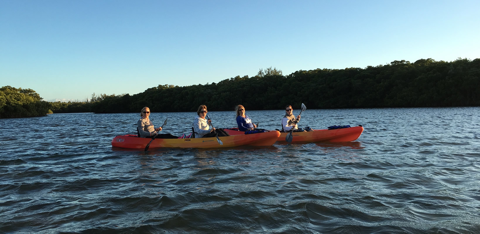 Sarasota Kayak Rental