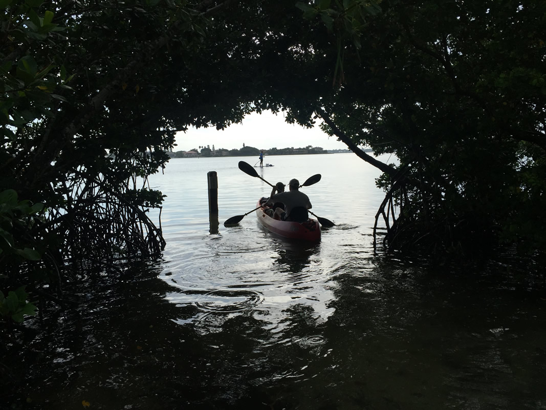 Sarasota Kayak Rentals