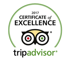 Best Kayak Tour In Sarasota 