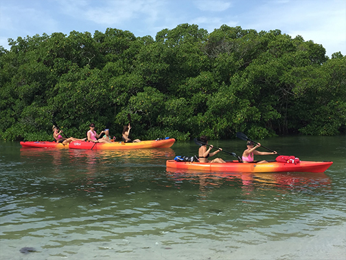 Sarasota Kayak Tour