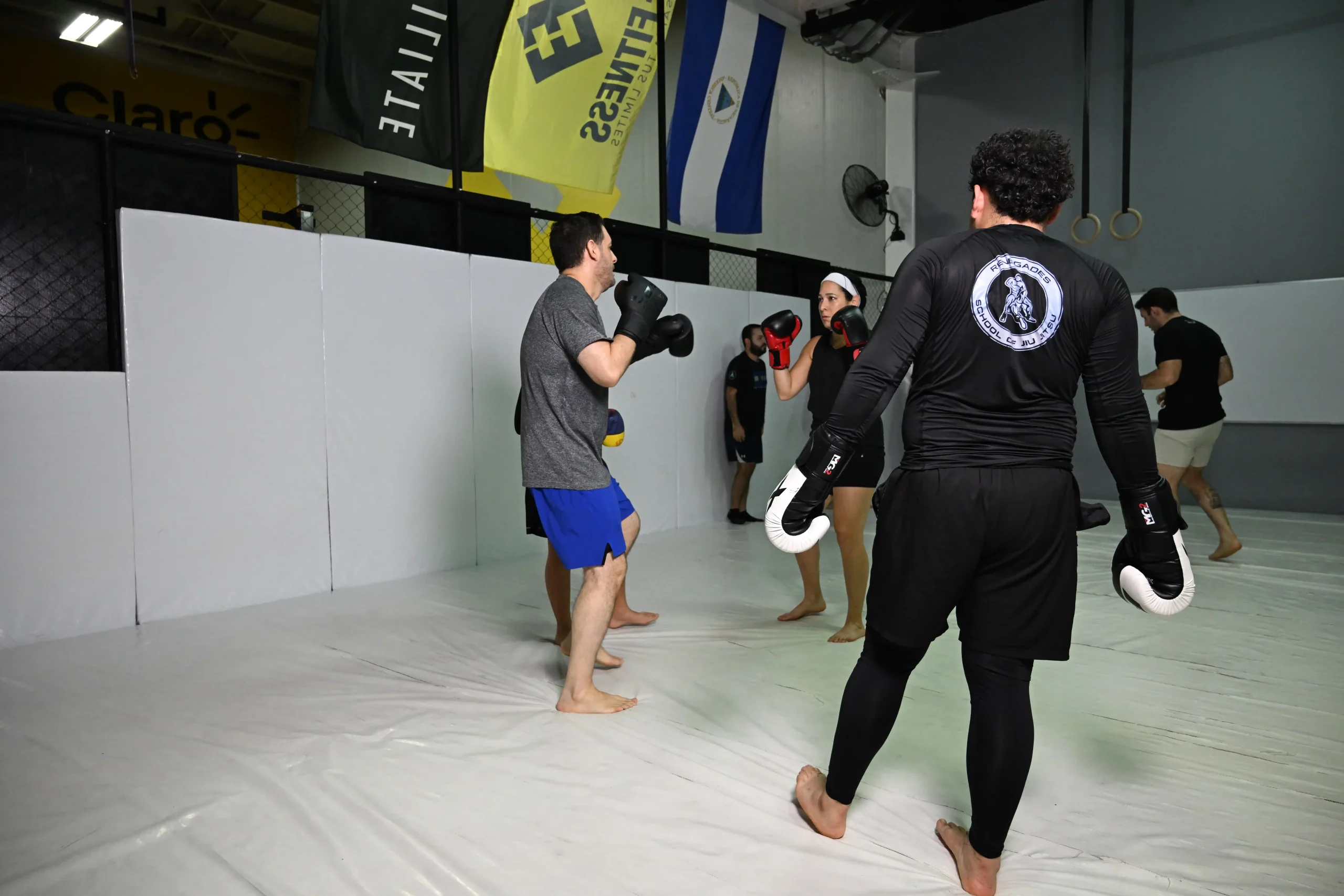 MMA en Renegades