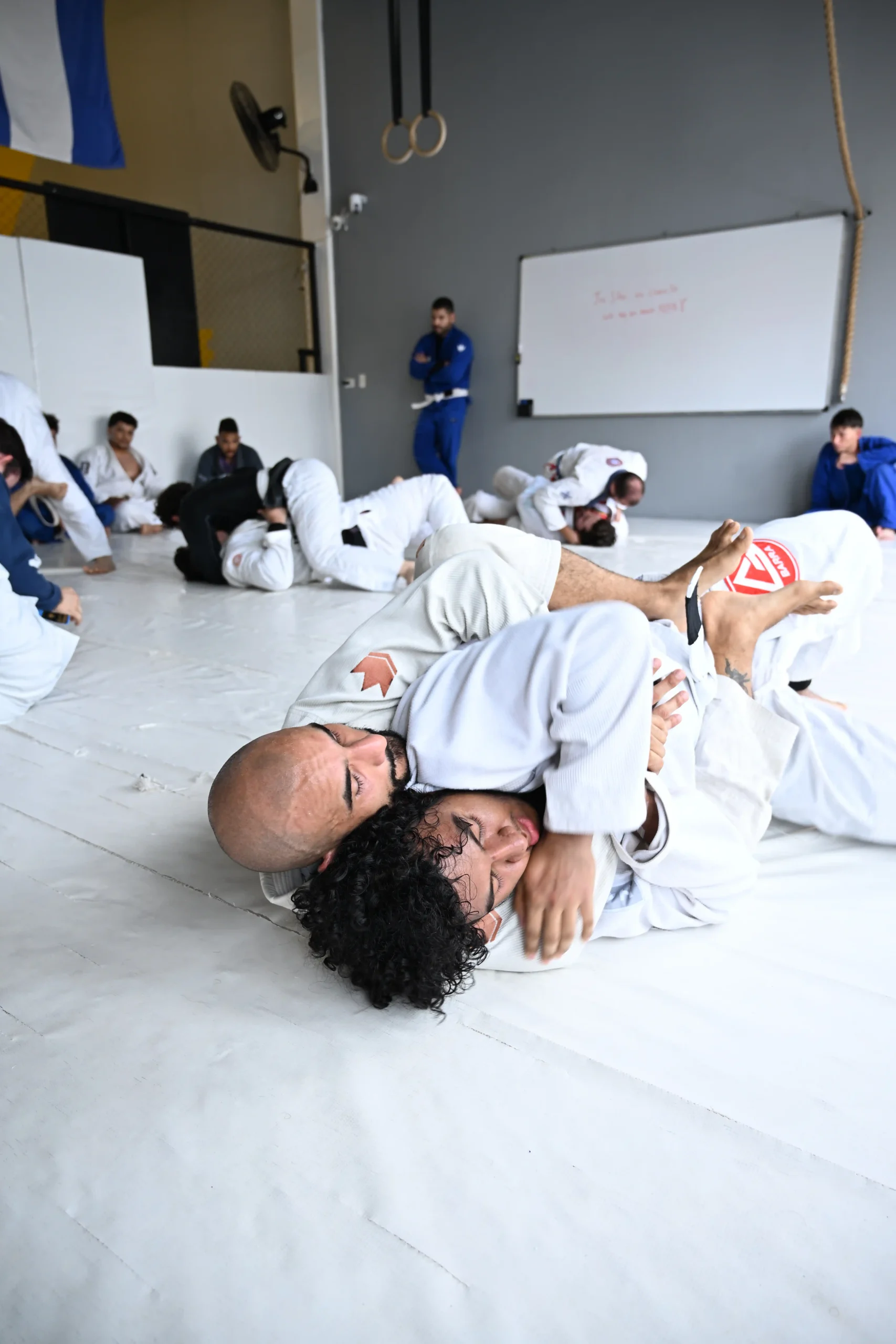 Brazilian Jiu Jitsu