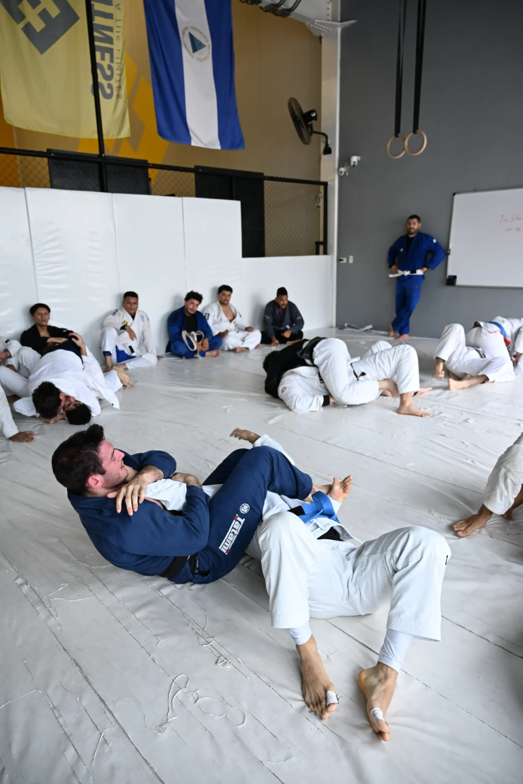 Brazilian Jiu Jitsu en Renegades