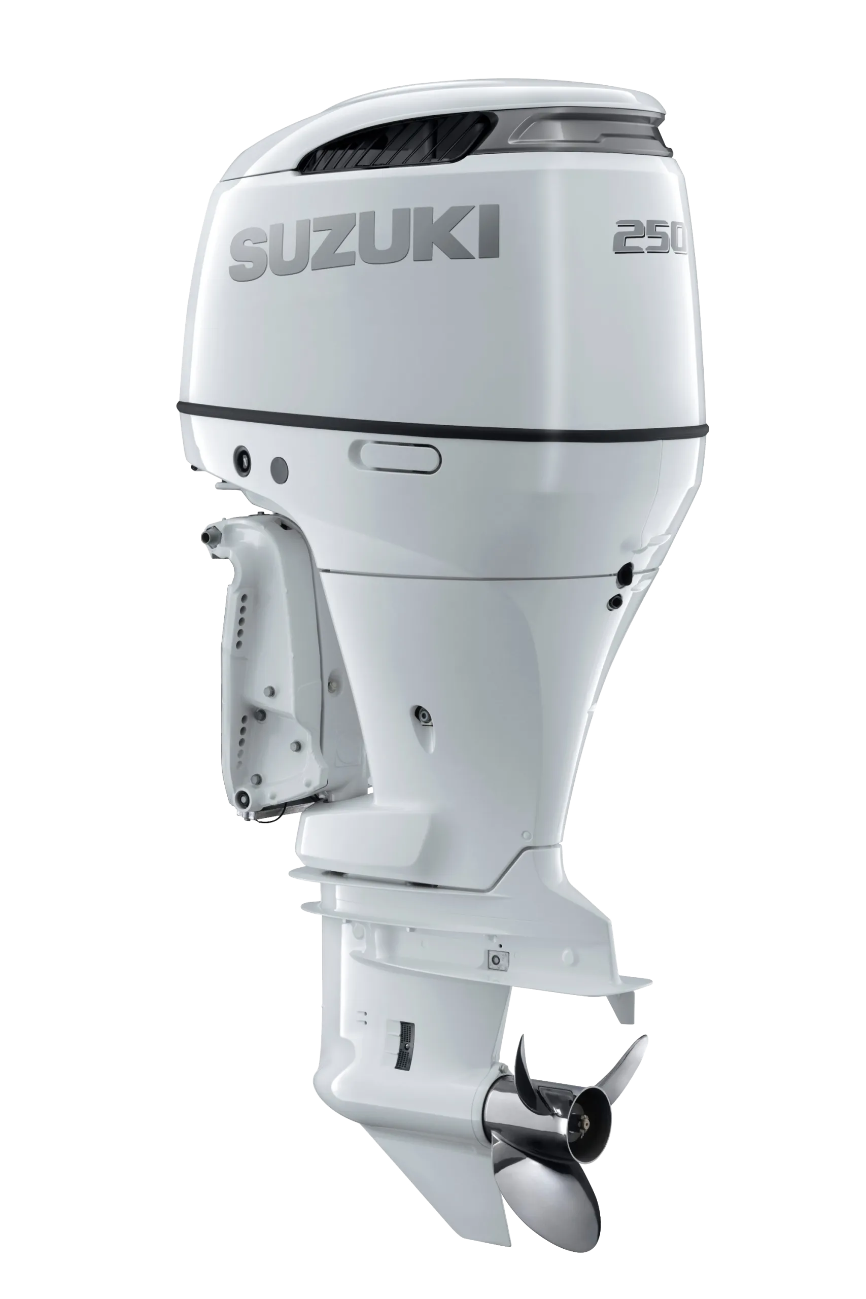 Suzuki V6